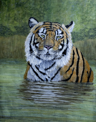 bengal tiger